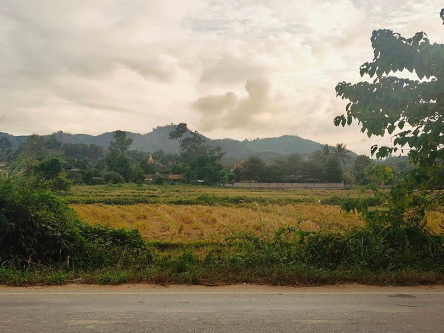 ขายที่ดิน 4ไร่ 3.2ลบ. ทุ่งนาวิวเขา ติดถนน1098 กิ่วพร้าว-ท่าข้าวเปลือก บ้านแม่หะป่าไร่ ต.ท่าข้าวเปลือก อ.แม่จัน เชียงรายขายที่ดินทั้งหมดพื้นที่ 4 ไร่ ทุ่งนา วิวเขา ทำเลธุรกิจค้าขายเอกสารโฉนดครุฑแดง 2 ฉบับหน้ากว้าง 45 เมตร ลึก 136 เมตรติดถนน1098 กิ่วพร้าว-ท่าข้าวเปลือก บ้านแม่หะป่าไร่ ต.ท่าข้าวเปลือก อ.แม่จัน เชียงรายน้้ำประปา ไฟฟ้าผ่านหน้าปลงขาย ตรว.2000 ไร่ละ 800,000 บาทรวมขาย�