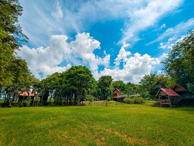 ขายที่ดินทำเลทอง โอนฟรีราคา ต่อรองได้ เจ้าของขายเอง พร้อมสิ่งปลูกสร้าง  พิษณุโลกที่ตั้ง : เลขที่ 2/2-9 หมู่ที่ 9 ต.ปลักแรด อ.บางระกำ จ.พิษณุโลก ขนาดที่ดิน : 18 ไร่ 2 งาน 19 ตารางวารายละเอียดปล่อยที่ดินทำเลทองพร้อมสิ่งปลูกสร้าง บนเนื้อที่ 18 ไร่ 2 งาน 19 ตารางวา โฉนดครุฑแดง มีต้นไม้สักทอง อายุ 14 ปี จำนวน 250 ต้น พร้อมไม้เบญจพรรณอีกหลากหลาย อาทิ ประดู่ พะยุง อายุเกิน 10 ปี และไม้ผ