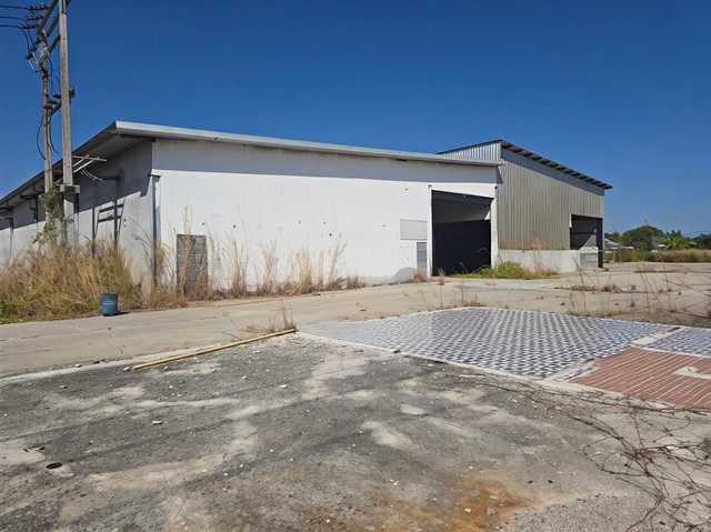 #ขายและให้เช่าโกดังพนัสนิคมชลบุรี#ขายและให้เช่าโกดัง ขนาด 1,800 ตารางเมตร???? ตั้งอยู่ในพื้นที่ ตำบลหนองขนาด อ.พนัสนิคม จ.ชลบุรี????ค่าเช่า 120,000 บาท/เดือน     •ประกัน 3 เดือน     •ล่วงหน้า 1 เดือน????ขายราคา 15 ล้านบาท????ที่ดิน 6 ไร่????ขนาดพื้นที่ใช้สอย 1800 ตรม.????เทคอนกรีตไว้ทั้งหมด ????ไฟฟ้า 3 เฟส (ไฟฟ้าต้องติดตั้งหม้อแปลงไฟเอง เดินไฟภายในเอง) ???? น้ำใช้น้ำประปา???? เหมาะทำโกดังเก็บสินค้า �