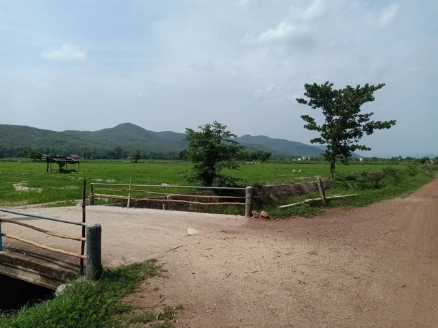 ขายที่ดินเปล่า10ไร่ 4ลบ. ฟรีโอน ติดเหมืองคลองน้ำทา วิวเขา วิวรถไฟผ่าน ใกล้วัดทาศาลา ต.ทาสบเส้า อ.แม่ทา ลำพูนขายที่ดินเปล่า เอกสารโฉนดครฑแดง 2 ใบพื้นที่รวม 10ไร่ 64 ตารางวาหน้ากว้าง 68 เมตร ลึก 193 เมตรติดถนนดิน กำลังมีแผนพัฒนาด้านหน้าติดลำเหมืองคลองน้ำทาวิวเขา วิวรถไฟวิ่งผ่าน ด้านหลังบรรยากาศดี เหมาะทำรีสอร์ท บ้านสวนพิกัด ใกล้วัดทาศาลา ต.ทาสบเส้า อ.แม่ทา ลำพูนใก�