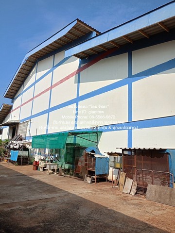 DSL-791สนใจติดต่อ: โดม รัชดา (Exclusive Contract)โทร: 065-586-9872ไลน์ไอดี: 0655869872 หรือ giantmw หรือ @yem0202nFacebook: https://bit.ly/3vdegO8Fanpage: https://bit.ly/488TrlDพิเศษ: รับซื้อ-ขาย และจัดหารถยนต์มือ 2 ทุกรุ่น & ทุกงบประมาณ.ขายโรงงาน (สำนักงาน และโกดัง) อ.เมือง จ.สมุทรสาคร 4-1-61 ไร่ ราคา 45 ล้านบาท.รายละเอียดทรัพย์: 1. โรงงานมีใบ รง.4 และตั้งอยู่ในผังสีเขียว (ซึ่งปัจจุบันขออนุญาตก่อสร้างใหม่ไม่ได้แล้ว) 2. โรงงานมีสำนักงาน 2 ชั้น โดยมีพื้นที่�