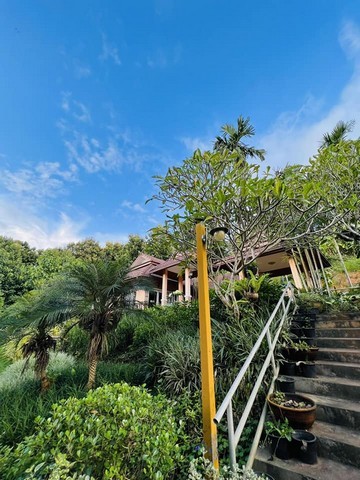 ให้เช่าหรือขายบ้านรีสอร์ทพร้อมเฟอร์ พื้นที่1-2-28ไร่ 5นอน4น้ำ เช่า 40,000บ. ขาย5.5ลบ. ต.สะเมิงใต้ อ.สะเมิง เชียงใหม่บ้านสไตล์รีสอร์ทพร้อมเฟอร์นิเจอร์ทุกชิ้น พื้นที่ 1 ไร่ 2 งาน 28 ตารางวาพิกัด : ต.สะเมิงใต้ อ.สะเมิง จ.เชียงใหม่- ให้เช่าเดือนละ 40,000 ขาท สัญญาขั้นต่ำ 1 ปี มัดจำประกัน 2 เดือน- ขายราคา 5.5 ลบ. (5,500,000 บาท) ค่าโอนคนละครึ่ง3 ห้องนอน1 ห้องรับแขก1 ห้องครัว2 ห้องน้ำมีโซนห้องนั่งเล่�