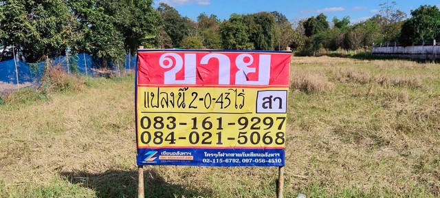 ZK592ขายที่ดินราคาถูก ทำเลดี ที่ตั้ง    ต.หนองไผ่ อ.ชุมแพ จ.ขอนแก่นเนื้อที่   2-0-43 ไร่เหมาะสำหรับ   สร้างบ้านอาศัย  ทำการเกษตรสถานที่ใกล้เคียง- วิทยาลัยเทคนิคชุมแพ- แม็คโครชุมแพ- โรงแรมวังทรัพย์ รีสอร์ทพิกัดแปลงhttps://maps.app.goo.gl/v9YcMyxUaavwPkw96?g_st=alราคา  4,300,000 บาทติดต่อ  คุณสา  083-161-9297คุณอาม 082-123-2883คุณเกรท 097-056-4510