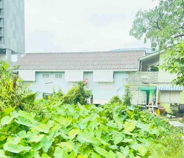 ให้เช่าบ้านเดี่ยวชั้นเดียว ย่านภาษีเจริญ BTS วุฒากาศ 750 ม.2 นอน 1 น้ำ จัดเต็มเฟอร์ฯ  40 ตร.ม. ม.สยาม 1.6 กม. เงียบสงบ มีความเป็นส่วนตัว  3,999 B-M. เดอะมอลล์ ท่าพระ ธนบุรี 1.3 กม. แหล่งชุมชน หาของกินง่าย ตลาดพลู 400 ม. ถ.เทอดไท ราชพฤกษ์BTS Wutthakat 750 m. Single-story house for rent in Phasi Charoen area 2 bed 1 bath fully furnished 40 sq.m. 1.6 km. from Siam University. Quiet and private. 3,999 B-M. 1.3 km. from The Mall Tha Phra Thonburi. Conveniently located with easy access to food. 400 m from Talat Phlu Therdthai Road. Ratchaphruek. แยกราชพฤกษ์-วุฒากาศ ถ.เทอดไท ราชพฤกษ์ แขวง