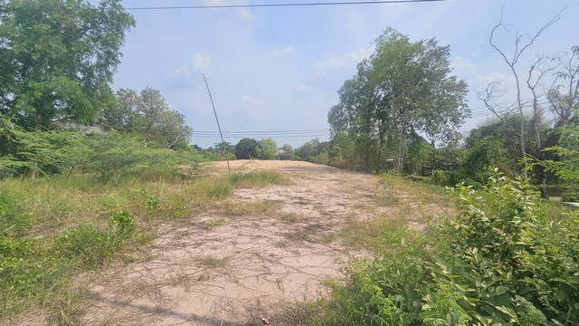 ให้เช่าที่ดินสวย ติดถนนศรีนาวา อยู่ข้างปั๊ม ปตท. ศรีนาวา อ.เมือง จ.นครนายกให้เช่าระยะ สั้น-ยาว เนื้อที่ 1-3-97 ไร่ ขนาด 31x103 เมตร เหมาะกับการ ทำธุะกิจ ทำตลาดนัด ร้านอาหาร โกดังสินค้า รับชม  VDO ที่นี่ https://youtube.com/watch?v=17W2DVv4tuwค่าเช่า 15,000 บาท/เดือนสนใจติดต่อ คุณหน่อย 081-828-5090หรือ  https://line.me/ti/p/MevQNt8OKa