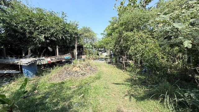 รหัสทรัพย์ : 6798ที่ดิน 47 ตร.วา ซอยสุคนธวิท 29 กระทุ่มแบน - สมุทรสาคร ราคาถูกที่ตั้ง : ตำบลตลาดกระทุ่มแบน อำเภอกระทุ่มแบน จังหวัดสมุทรสาคร 74110รายละเอียดทรัพย์- ที่ดินเปล่า 47 ตารางวา-&nbsp;พื้นที่สีเหลือง ย.3-15 พื้นที่สำหรับการอยู่อาศัยหนาแน่นปานกลาง- เหมาะกับสร้าง ที่อยู่อาศัย, อพาร์ตเมนต์, หอพัก, กิจการขนาดกลาง, โกดังขนาดกลาง- ที่ดินหันทางทิศตะวันตก&nbsp;ทำเลและสถานที่ใกล�