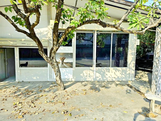 เซ็นทรัล ศาลายา 3.2 กม.ให้เช่าพื้นที่ พร้อมตัวอาคาร หน้ากว้าง 25ตร.วา.ไร่ขิง สามพราน ตลาดน้ำดอนหวาย 1.5กม 100ตร.ม. รร.นานาชาติเซนต์อัลฟอนซัส 1.2กม. ทำเลดีติดถนน แหล่งชุมชน มีที่จอดรถสะดวกสบาย  เหมาะกับทำสำนักงาน 2 นอน 1 น้ำ 9,499 B-M. ซ. ไร่ขิง 38-44 พุทธมณฑล ม.มหิดล ศาลายา 5 กม.เดินทางสะดวก MRTหลักสอง Central Salaya, 3.2 km. RaiKhing SamPhran DonWai Floating Market 1.5km. Space for rent with building 25sq.wa. 100sq.m. frontage. St. Alphonsus Inter Sch 1.2km. Good location next to the road in a community area with convenient parking. Suitab