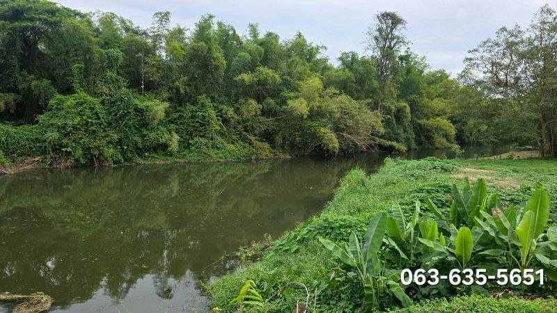 สนใจมาเที่ยวชมโทร ติดต่อ นกได้หลายช่องทางนะคะโทร. 061-494-9665โทร. 063-635-5651 (เบอร์นี้ไลน์เต็มค่ะ)ไลน์ไอดี : @nyland789(ไลน์คลิ๊กแล้วทักมาได้เลยค่ะ) https://lin.ee/R8sP0rj____________________________ที่ดินติดแม่น้ำนครนายก13 ไร่ 2 งาน 55 ตรว.ตรว.ละ 9,700 หรือ ไร่ละ 3.9 ล้าน (ขายยกแปลง 53,186,250)ต.สาริกา อ.เมืองนครนายก จ.นครนายก ที่ติดแม่น้ำ ประมาณ 90 เมตรติดถนนลาดยางในซอยประมาณ 116 เมตรตลิ่งสูง มีต้นไม้ใหญ่ในแปลงร่มรื่น ที่สูงเท่า�