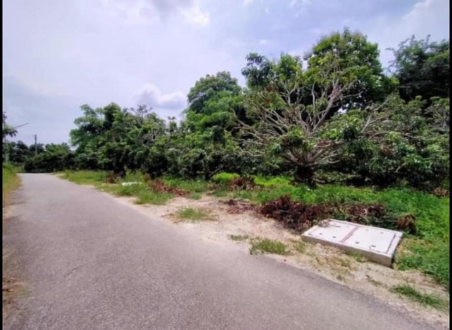 ขายที่ดิน3งาน 1.96ล้านบาท สวนลำไย ถนน ไฟฟ้า ประปา เขตติดต่อ สารภี แดนเมือง ต.อุโมงค์ เมืองลำพูนซื้อปุ๊บ!กำไลปั๊บ เนื้อที่ 3 งานเต็ม เอาไปแบ่งขายได้ 4 แปลงเต็มใครเงินเหลือซื้อไว้คุ้มมากขายขาดทุน 1.96 ล้าน (ยกแปลง) จบเลยครับไม่ต้องถม ส่วนราชการได้งบมาแล้วจะขยายถนน อยู่ในเขตเทศบาลโฉนดลอย พร้อมโอนเขตติดต่อ สารภี แดนเมือง ต.อุโมงค์ อ.เมืองลำพูน. (เข้าเมืองชม-ลพ สะดวก)แ�