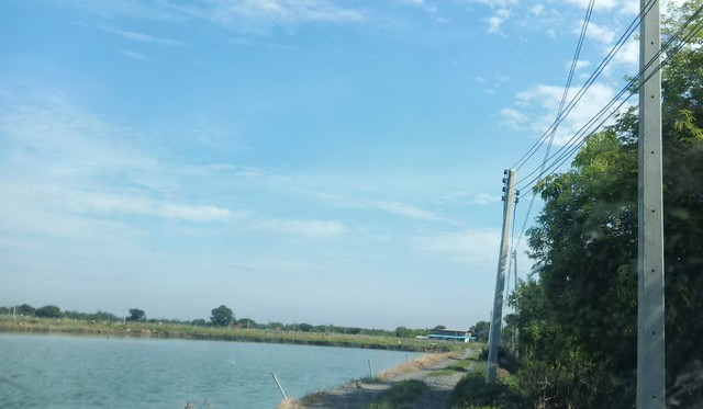                   ขายที่ดิน 18 ไร่ ที่เป็นบ่อปลาทั้งแปลง รูปร่างที่ดินเป็นสี่เหลี่ยมผืนผ้า มีหน้ากว้างติดถนนซอยสาธารณะ ประมาณ 93 เมตร  มีน้ำประปา ไฟฟ้า ผ่านหน้าที่ดิน                                    ที่ดินตั้งอยู่ห่างจากถนน 315 (ฉะเชิงเทรา-พนัสนิคม) ประมาณ 2 กิโลเมตร ใกล้ศูนย์การศึกษานอกโรงเรียนขายถูกเพียงไร่ละ  4.5  แสนบาท**สนใจดูที่ดินจริง รบกวนนัดล่วงหน้าอย่างน้อย 1 วันค่ะ** ติดต่อ ภญ.เทเรซา �