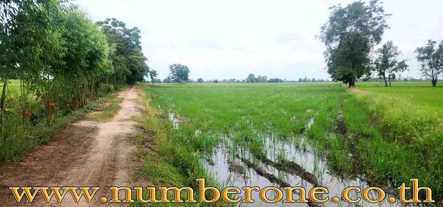 ขายที่ดินถนนทางหลวงชนบทกำแพงเพชร 4004 อ.ทรายทองวัฒนา จ.กำแพงเพชรรหัสทรัพย์ :16594ประเภท :ที่ดินเปล่าโครงการ :ที่ตั้ง :ต.ทุ่งทราย อ.ทรายทองวัฒนา จ.กำแพงเพชรโซน :ต่างจังหวัดเนื้อที่ :18,706 ตร.ว.ขายที่ดินถนนทางหลวงชนบทกำแพงเพชร 4004 ต.ทุ่งทราย อ.ทรายทองวัฒนา จ.กำแพงเพชรขายที่ดิน 46-3-06 ไร่ ( 18,706 ตรว. ) ปัจจุบันทำนาอยู่ ติดคลอง 2 ด้าน มีน้ำตลอดทั้งปี ทำเลดี ติดถนน ใกล้วัดหนองไผ่ ใกล้ห�