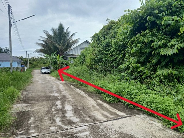 ขายที่ดินเปล่า 220 ตรว. 1.21 ลบ. ถนน น้ำ ไฟฟ้าเยื้องร้านดาวคะนอง ใกล้ถ.ซุปเปอร์ 800ม. ต.ป่าสัก อ.เมืองลำพูนขายที่ดินเปล่า เอกสารโฉนดครุฑแดง พร้อมโอนพื้นที่ 220 ตรว. หน้ากว้าง 33 เมตร ลึก 30 เมตรขายราคา 1.21 ล้านบาท (1,210,000 บาท) โอนคนละครึ่งติดถนนลาดคอนกรีต น้ำประปา ไฟฟ้า ผ่านแปลงอยู่ซอย อู่เปี๊ยกบริการ ทำเลเหมาะสร้างบ้าน มีเพื่อนบ้านเข้าซฮย เยื้องร้านดาวคะนอง จาก ถ.ซุปเปอร์11 ฝั่�