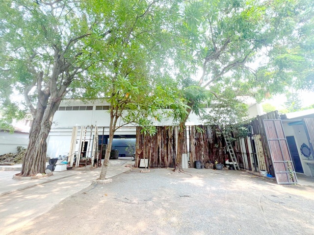 เช่า-ขายที่ดินพร้อม ตลาดเอกมัย 1กม. 1,725ตร.ม ซ.สุขุมวิท 47-51  อาคาร 2 ชั้น 1ไร่ 35 ตร.วา.ทองหล่อ 21-25 MRT รฟม.1.6 กม.วิวสวน 5 นอน 5 น้ำ 