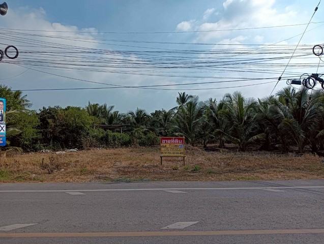 ขายที่ดิน 200 วา  ทำเลดี ติดถนน  ธรรมชาติ   นางตะเคียน   เมืองสมุทรสงคราม   ZW630