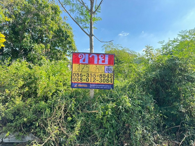 ขายที่ดิน 175 ตารางวา  ซอยสยามพัฒนา 17  บางหัวเสือ  พระประแดง   สมุทรปราการ   ZT854 