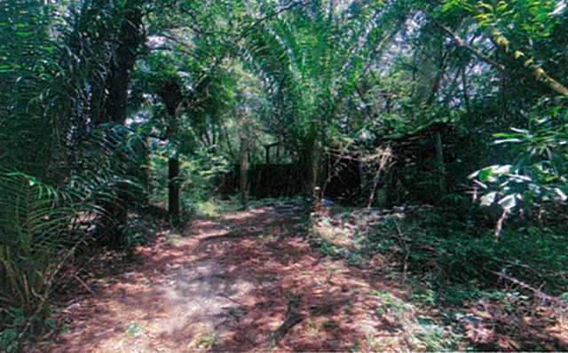 บ้านเดี่ยว บางซื่อ ประชาชื่น 6 แยก 2-1 เลียบคลองประปา พื้นที่ 44 ตร.ว. ใกล้สถานีรถไฟฟ้า MRT เตาปูน  และ สถานีบางซื่อ