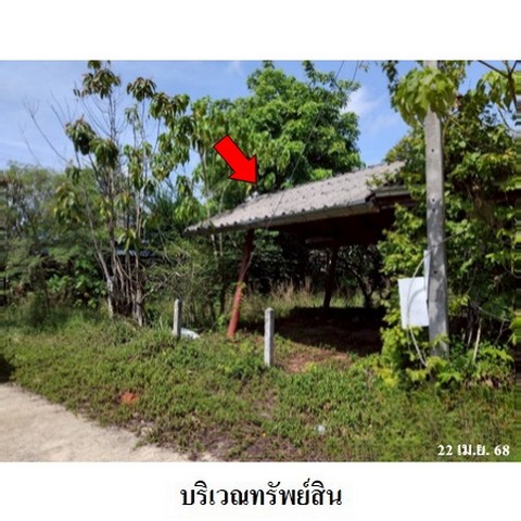 ขายโรงงาน ถ.ท่าโรงช้าง ตำบล มะขามเตี้ย อำเภอ เมืองสุราษฎร์ธานี จังหวัด สุราษฎร์ธานี