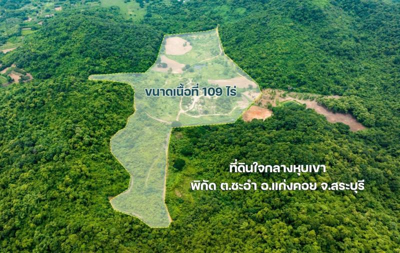 ขายที่ดินติดถนน 109 ไร่  เจ้าของขายเอง ตำบลชะอม อำเภอแก่งคอย จังหวัดสระบุรีที่ตั้ง : ตำบลชะอม อำเภอแก่งคอย จังหวัดสระบุรีขนาดที่ดิน : 109 ไร่รายละเอียดที่ดินติดถนน (เส้นบ้านนา-แก่นคอย 3222) อยู่ในเขตชุมชน ทำเลดี วิวเขาสวย มีลำธาร น้ำอุดมสมบูรณ์เหมาะสำหรับทำรีสอร์ท ทำแคมป์ปิ้ง ผจญภัย แอดเวนเจอร์ สวนทุเรียนและสถานที่ท่องเที่ยว หรือออกแบบบิ้วทำเลตามต้องการ พื้นท�