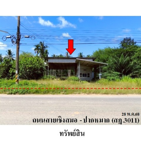 ขายบ้านเดี่ยว ถนน เชิงสมอ-ปากหมาก (สฎ.3011) ตำบล โมถ่าย อำเภอ ไชยา จังหวัด สุราษฎร์ธานี