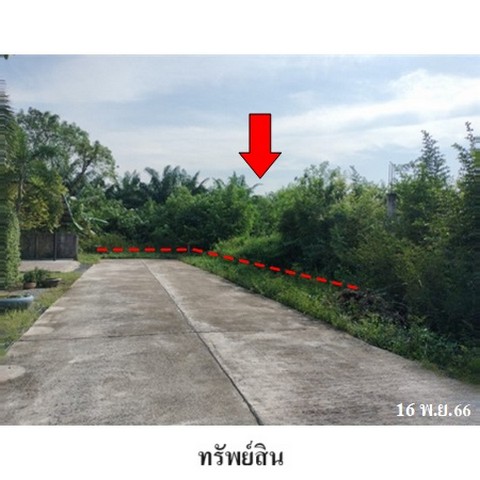 ขายที่ดินว่างเปล่า ถนน สายสุราษฎร์ธานี-นครศรีธรรมราช  ตำบล ท่าทองใหม่ อำเภอ กาญจนดิษฐ์ จังหวัด สุราษฎร์ธานี