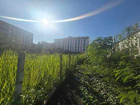 ขายที่ดินเปล่า ใกล้ มหาวิทยาลัยเชียงใหม่ เพียง 400 ม. อยู่โซนหลังมช. ที่สี่เหลี่ยมสวยๆ สามารถทำหอพัก อพาร์ทเมนต์ได้ สามารถขอซื้อที่ดินเป็นทางเข้าเพิ่มได้อีก มาคุยกันก่อนได้ค่ะ พิกัด : ต.สุเทพ ,อ.เมืองเชียงใหม่ จ.เชียงใหม่ขนาด 330 ตารางวาขาย 18 ลบ. โอนคนครึ่ง ตกตรว.ละเพียง  54,500 บาท คุ้มมากเทียบในทำเลแบบนี้ ห่างจากตลาดต้นพะยอมเพียง 400ม.  ใกล้  รพ.สวนดอก 2.5กม.Please​ Contact ; Phung Tel.09469351