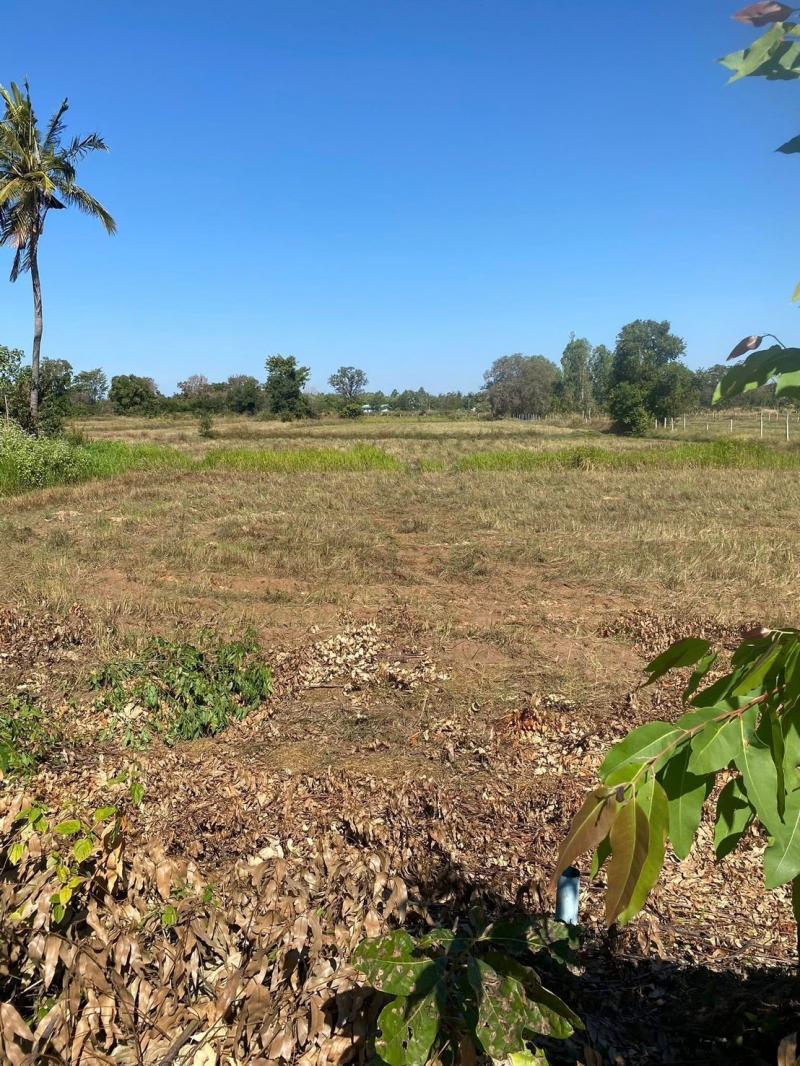 ขายที่ดินทำเลดี 4 ไร่ เจ้าของขายเอง ต.ห้วยยาง อ.บัวใหญ่ นครราชสีมา ที่ตั้ง : บ.หนองไผ่งาม ต.ห้วยยาง อ.บัวใหญ่ นครราชสีมา ขนาดพื้นที่ :  4 ไร่รายละเอียดที่นา อ.บัวใหญ่ 4 ไร่ งาม ๆ ติดถนนหินคลุก ไฟฟ้า ประปา ครบ มีเพื่อนบ้าน บรรยากาศชายทุ่งสถานที่ใกล้เคียงโลตัส บัวใหญ่โรงพยาบาลบัวใหญ่โรงเรียนสอนภาษาเกาหลีโคเรียศึกษาบัวใหญ่(นครราชสีมา)ราคาไร่ 17O,OOO บาทสนใจติดต่อO6149559O5 