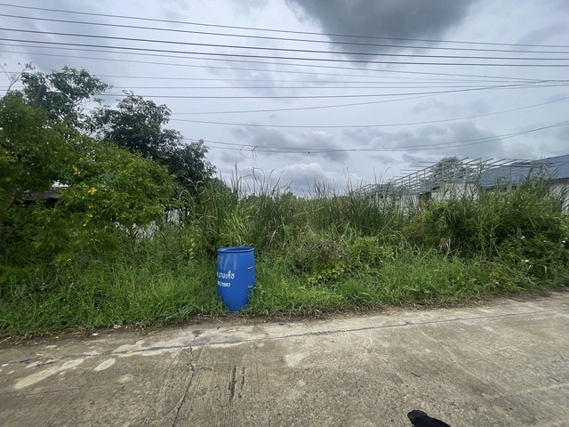 ขายที่ดินในเขตชุมชน น้ำไฟ พร้อม มีเพื่อนบ้าน เดินทางสะดวก ติดถนนสาธารณะ ซอยเจริญสุข 3 บางคูวัดเหนือ ปทุมธานี พื้นที่ 100 ตารางวา ขาย 1.29 ล้าน ค่าโอนคนละครึ่งhttps://maps.app.goo.gl/oJDQuFfJms3GD3PF9?g_st=ipcสนใจติดต่อ 094.2893646 มัสรับสายค่ะ