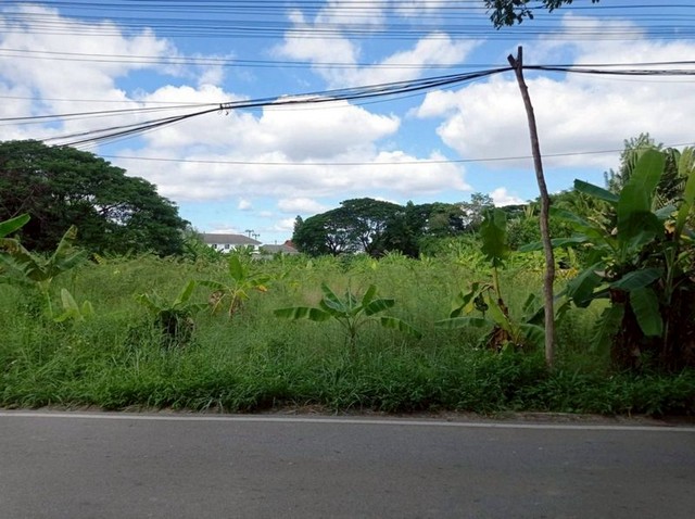 ที่ดิน ทำเลดี บรรยากาศสงบ พื้นที่สีเหลือง โซนแม่เหียะ