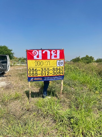 ขายที่ดิน 100 ตารางวา  ซอยโป่งตามุข-หนองขยาด ซอย4   มาบโป่ง ชลบุรี   ZT859 