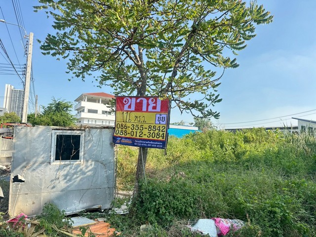 ขายที่ดิน 116 ตารางวา  ซอยลาซาล 54  บางนา ใกล้รถไฟฟ้าศรีลาซาล  ZT858 