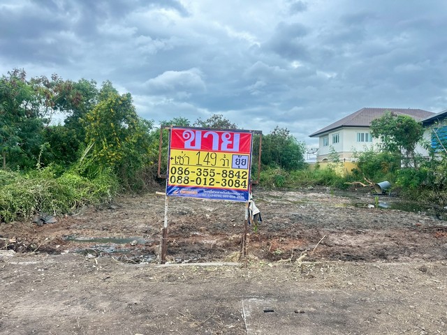 ขายที่ดิน  149 ตารางวา  ซอยนารถมนตเสวี 9  ถนนพระยาสัจจา  เมืองชลบุรี   ZT856 