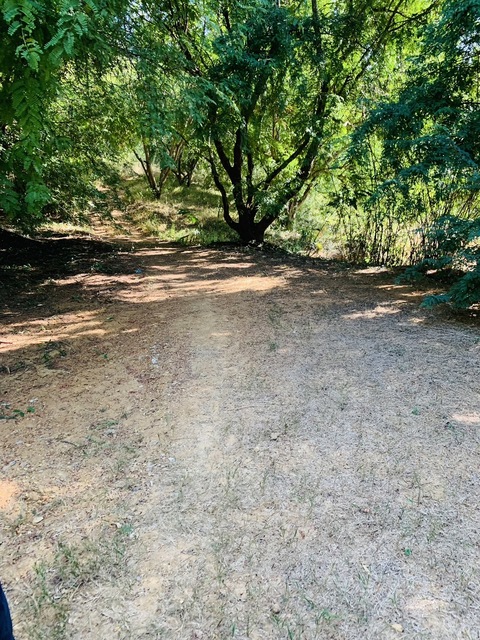 ขายที่ดิน เพชรบูรณ์ จำนวน 23-2-5 ตารางวา ไร่ละ45,000บาท 