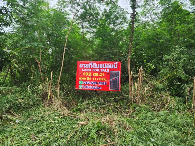 พื้นที่ดิน - พท. 102 ตาราง-วา 0 งาน 0 RAI  1300000 - ราคาพิเศษ