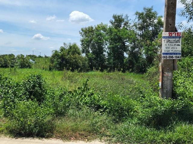   ที่ดิน - 1000000 บ.  ใหญ่ 100 ตร.วา ใกล้กับ วัดธรรมกาย ตลาดไท GOOD