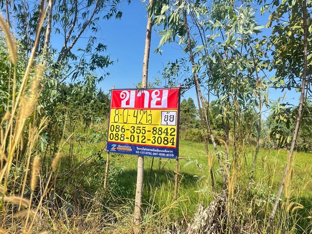 ขายที่ดิน 8-0-42 ไร่ ใกล้สวนพระพิฆเนศ  ตะเคียนเตี้ย  บางละมุง  ชลบุรี    ZT865 