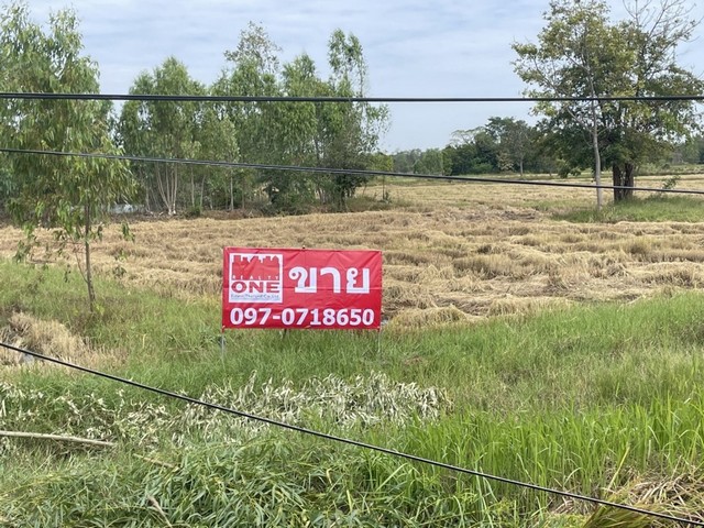  ขายที่ดินแปลงใหญ่ ทำเลทอง ใจกลางอำเภอสีดา จ.นครราชสีมา  เหมาะลงทุนทำหมู่บ้านจัดสรร รีสอร์ท โกดัง หรือทำการเกษตรขนาดใหญ่ที่ดินติดถนน เข้าออกสะดวก ใกล้สิ่งอำนวยความสะดวกครบ รายละเอียดทรัพย์ที่ดินเปล่า 2 แปลงโฉนดเลขที่ 9606 และ 3412ตำบลสีดา อำเภอสีดา จังหวัดนครราชสีมา เนื้อที่รวม 28 ไร่ 1 งาน 1 ตารางวา ราคาขายรวม 9,880,000 บาท จุดเด่นของที่ดิน ทำเลดีมาก ใกล้ถนนหลัก เดิน�