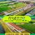 ที่ดินคลอง8 รังสิต ปทุมธานี 1 ไร่ 1.45 ล้านบาท เข้าจาก ถ.รังสิตนครนายก เพียง 6 กม.