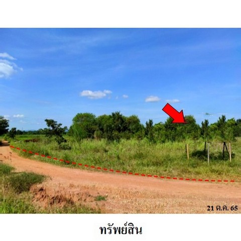   รหัสทรัพย์ (Code ID)  : PMS-3T0040  ราคา   1,089,600    บาท  ▸ เนื้อที่  11 ไร่ 1 งาน 40.0 ตร.ว.     บ้านหันไปทางทิศ ตก  พิกัดทรัพย์ : https://maps.app.goo.gl/KPpSNeZS2NziyNXA8  สถานที่ใกล้เคียง   ▸ใกล้สำนักงานคณะกรรมการศาลเจ้าพ่อพญาแล   ▸ใกล้สวนสาธารณะหนองปลาเฒ่า    สอบถามเพิ่มเติม / นัดชม โทร. 097-419-5982(พลอย) โทร. 096-932-4624(ออมสิน) Line : @panaya (มี@ด้านหน้า)  ปรึกษาสินเชื่อฟรี One Stop Service ดูแลตั้งแต่ต้นจนจบบริษัท ปณยาคิดดี จำกัด 