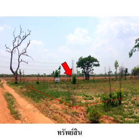   รหัสทรัพย์ (Code ID)  : PMS-3T0084  ราคา    1,429,000   บาท  ▸ เนื้อที่  15 ไร่ 53.0 ตร.ว.    บ้านหันไปทางทิศ ตะวันออก  พิกัดทรัพย์ : https://maps.app.goo.gl/Fi1pyJu8ut8Pyvzg9  สถานที่ใกล้เคียง   ▸ใกล้ศูนย์เมล็ดพันธุ์ข้าวชัยภูมิ  ▸ใกล้อนามัยโคกสูง   สอบถามเพิ่มเติม / นัดชม โทร. 097-419-5982(พลอย) โทร. 096-932-4624(ออมสิน) Line : @panaya (มี@ด้านหน้า)  ปรึกษาสินเชื่อฟรี One Stop Service ดูแลตั้งแต่ต้นจนจบบริษัท ปณยาคิดดี จำกัด 