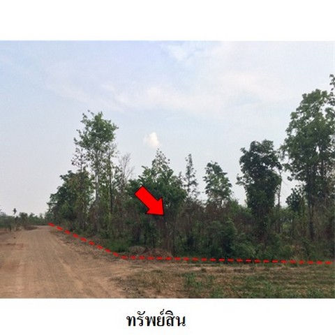 รหัสทรัพย์ (Code ID)  : PMS-3T0065  ราคา    2,169,600   บาท  ▸ เนื้อที่  22 ไร่ 2 งาน 40.0 ตร.ว.     บ้านหันไปทางทิศ ตะวันออก  พิกัดทรัพย์ : https://maps.app.goo.gl/rE2xmjGugfut8cn49  สถานที่ใกล้เคียง   ▸ใกล้โรงเรียนบ้านห้วยยาง   ▸ใกล้วัดห้วยยางราษฎร์บำรุง     สอบถามเพิ่มเติม / นัดชม โทร. 097-419-5982(พลอย) โทร. 096-932-4624(ออมสิน) Line : @panaya (มี@ด้านหน้า)  ปรึกษาสินเชื่อฟรี One Stop Service ดูแลตั้งแต่ต้นจนจบบริษัท ปณยาคิดดี จำกัด 