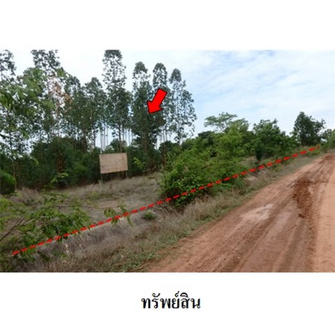   รหัสทรัพย์ (Code ID)  : PMS-3T0034  ราคา   2,976,000    บาท  ▸ เนื้อที่  31 ไร่    บ้านหันไปทางทิศ เหนือ  พิกัดทรัพย์ : https://maps.app.goo.gl/kqbraBzVAKCBG6PZ7  สถานที่ใกล้เคียง   ▸ใกล้วิสาหกิจชุมชนฟาร์มเห็ดกาญจนา  ▸ใกล้อนามัยโคกสูง  ▸ใกล้สำนักงานเทศบาลตำบลโคกสูง     สอบถามเพิ่มเติม / นัดชม โทร. 097-419-5982(พลอย) โทร. 096-932-4624(ออมสิน) Line : @panaya (มี@ด้านหน้า)  ปรึกษาสินเชื่อฟรี One Stop Service ดูแลตั้งแต่ต้นจนจบบริษัท ปณยาคิดดี จำกัด 