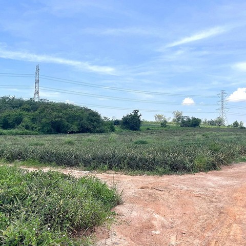 #ขายที่ดินผังม่วงนิคมพัฒนาระยอง#ขายที่ดินเนื้อที่ 23-2-12 ไร่ใกล้นิคมอุตสาหกรรมปิ่นทอง 6♒ผังสีม่วง????นิคมพัฒนา จังหวัดระยอง????ราคา 2.8 ล้านบาท ????เนื้อที่ : 23 ไร่ 2 งาน 12 ตร.ว. ถูกที่สุดในย่านนี้????ที่ดินสีม่วง รองรับโรงงาน–คลังสินค้า พร้อมใช้????ที่ดินติดโรงงานอุตสาหกรรม????ถนนหลักกว้าง รองรับรถบรรทุกและคอนเทนเนอร์????อยู่ในเขต EEC ได้สิท-พื้นที่รอบ ๆ มีแนวโน้ม ความต้องการธิ