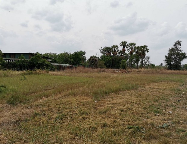 #ให้เช่าที่ดินนาป่าชลบุรี#ให้เช่าเหมาที่ดินใกล้มอเตอร์เวย์เนื้อที่ 2 ไร่ ????นาป่า เมืองชลบุรี????ค่าเช่า 14,000 บาท/เดือน????ที่ดินเหมาะทำการเกษตร แคมป์คนงาน หรือประกอบกิจการ????มีบ่อน้ำ ขนาด 0.5 ไร่ ในพื้นที่????สามารถเช่าระยะยาวได้????ที่ดิน หน้ากว้าง 34 เมตร ลึก 86 เมตร????ถนนทางเข้ากว้าง 6 เมตร????ห่างจากถนนคู่ขนานมอเตอร์เวย์ ประมาณ 100 เมตร_____________________________สนใจติดต่อ/นัดชม☎️081-459-0982​ ลฎา�