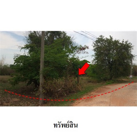   รหัสทรัพย์ (Code ID)  : PMS-3T0092  ราคา    3,485,000   บาท  ▸ เนื้อที่  9 ไร่ 26.4 ตร.ว.     บ้านหันไปทางทิศ เหนือ  พิกัดทรัพย์ : https://maps.app.goo.gl/EhmjhwYi3nW3RzS17  สถานที่ใกล้เคียง   ▸ใกล้โลตัส ชัยภูมิ  ▸ใกล้สำนักงานคณะกรรมการศาลเจ้าพ่อพญาแล  ▸ใกล้อนุสาวรีย์เจ้าพ่อพญาแล    สอบถามเพิ่มเติม / นัดชม โทร. 097-419-5982(พลอย) โทร. 096-932-4624(ออมสิน) Line : @panaya (มี@ด้านหน้า)  ปรึกษาสินเชื่อฟรี One Stop Service ดูแลตั้งแต่ต้นจนจบบริษัท ปณยาคิดดี จำกัด 