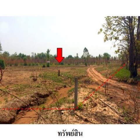   รหัสทรัพย์ (Code ID)  : PMS-3T0061  ราคา   12,919,000    บาท  ▸ เนื้อที่  138 ไร่ 1 งาน 14.0 ตร.ว.     บ้านหันไปทางทิศ ตะวันตก   พิกัดทรัพย์ : https://maps.app.goo.gl/Ps2o9bEZEx7wBEJK7  สถานที่ใกล้เคียง   ▸ใกล้ศาลจังหวัดชัยภูมิ   ▸ใกล้ฝ่ายแผนฯวิทยาลัยเทคโนโลยีมหานครชัยภูมิ       สอบถามเพิ่มเติม / นัดชม โทร. 097-419-5982(พลอย) โทร. 096-932-4624(ออมสิน) Line : @panaya (มี@ด้านหน้า)  ปรึกษาสินเชื่อฟรี One Stop Service ดูแลตั้งแต่ต้นจนจบบริษัท ปณยาคิดดี จำกัด 