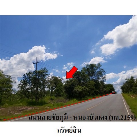   รหัสทรัพย์ (Code ID)  : PMS-3T0087  ราคา   13,449,000    บาท  ▸ เนื้อที่  44 ไร่ 2 งาน 83.0 ตร.ว.   ▸ 3 ห้องนอน 2 ห้องน้ำ    ▸ 1 ที่จอดรถ   บ้านหันไปทางทิศ ตะวันออก   พิกัดทรัพย์ : https://maps.app.goo.gl/JD6jjkmKLWBB977L9  สถานที่ใกล้เคียง   ▸ใกล้ศาลจังหวัดชัยภูมิ   ▸ใกล้ฝ่ายแผนฯวิทยาลัยเทคโนโลยีมหานครชัยภูมิ      สอบถามเพิ่มเติม / นัดชม โทร. 097-419-5982(พลอย) โทร. 096-932-4624(ออมสิน) Line : @panaya (มี@ด้านหน้า)  ปรึกษาสินเชื่อฟรี One Stop Service ดูแลตั้งแต่ต้นจนจบบริษ�