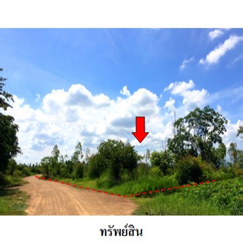   รหัสทรัพย์ (Code ID)  : PMS-3T0082  ราคา   21,791,000    บาท  ▸ เนื้อที่  236 ไร่ 2 งาน 33.0 ตร.ว.     บ้านหันไปทางทิศ ตะวันตก  พิกัดทรัพย์ :  https://maps.app.goo.gl/bb8fHYPfrZE5Q1QM6  สถานที่ใกล้เคียง   ▸ใกล้พระเจดีย์ศรีชัยผาผึ้ง  ▸ใกล้ศูนย์เมล็ดพันธุ์ข้าวชัยภูมิ      สอบถามเพิ่มเติม / นัดชม โทร. 097-419-5982(พลอย) โทร. 096-932-4624(ออมสิน) Line : @panaya (มี@ด้านหน้า)  ปรึกษาสินเชื่อฟรี One Stop Service ดูแลตั้งแต่ต้นจนจบบริษัท ปณยาคิดดี จำกัด 