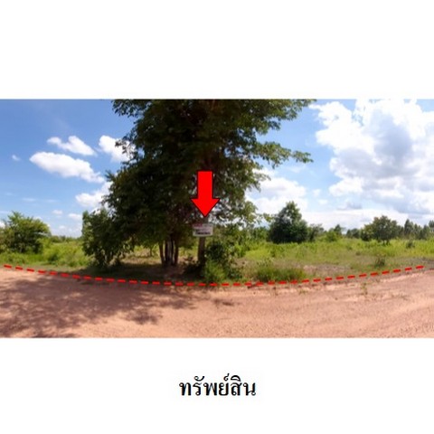   รหัสทรัพย์ (Code ID)  : PMS-3T0081  ราคา   24,057,000    บาท  ▸ เนื้อที่  254 ไร่ 3 งาน 35.0 ตร.ว.     บ้านหันไปทางทิศ ตะวันออก  พิกัดทรัพย์ :  https://maps.app.goo.gl/3e9mKXRsfWAow9Rz5  สถานที่ใกล้เคียง   ▸ใกล้ศูนย์เมล็ดพันธุ์ข้าวชัยภูมิ   ▸ใกล้ อนามัยโคกสูง  ▸ใกล้วัดห้วยยางราษฎร์บำรุง     สอบถามเพิ่มเติม / นัดชม โทร. 097-419-5982(พลอย) โทร. 096-932-4624(ออมสิน) Line : @panaya (มี@ด้านหน้า)  ปรึกษาสินเชื่อฟรี One Stop Service ดูแลตั้งแต่ต้นจนจบบริษัท ปณยาคิดดี จำกัด 