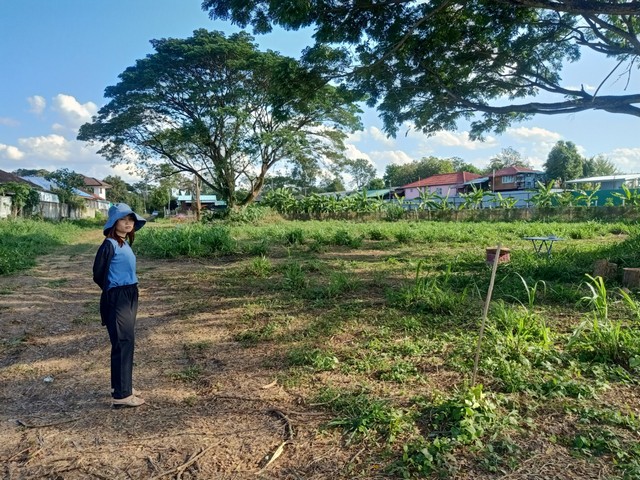 ขายที่ดิน 6-0-36.6 ไร่ 24.4ลบ.หน้าหมู่บ้านสันกำแพงปาร์ควิว ตำบล สันกำแพง อำเภอสันกำแพง เชียงใหม่ทีดิน 6ไร่ 36.6 ตารางวาขายรวม 24.4ลบ. 24,400,000 บาท (ไร่ละ 4 ล้านบาท) โอนคนละครึ่งหน้ากว้างติดถนน 15 เมตรแปลงที่ดิน ใช้เป็น ถนนเข้าไป หน้ากว้าง 12 เมตร ลึก 48 เมตรเข้าไปด้านในเป็นสี่เหลี่ยมขนมคางหมู ลึก 228 เมตร กว้าง 78 เมตรอยู่หน้าหมู่บ้านสันกำแพงปาร์ควิว ตำบล สันกำแพง อำเภอสันกำแพง เชียงใ�