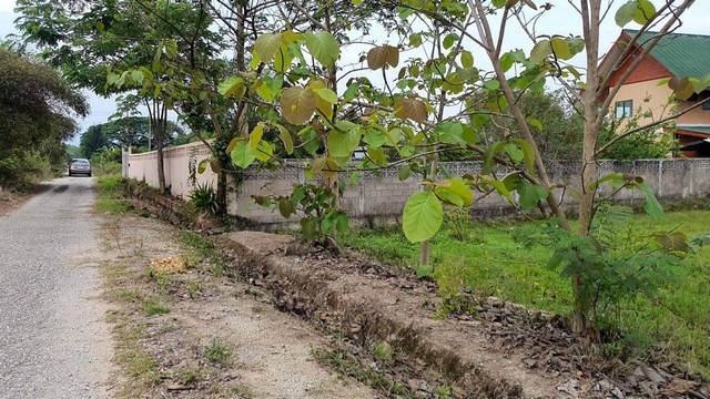 ขายที่ดินหมู่บ้านนภาธานี 398ตรว 1.5ล้านบาท ถูกกว่าครึ่งราคาประเมิน ใกล้บิ๊กซี2 ต.หารแก้ว อ.หางดง เชียงใหม่ขายที่ดินในหมู่บ้านนภาธานี 398 ตรว. ราคา 1.5 ล้านบาท (1,500,000 บาท) ค่าโอนคนละครึ่ง , แต่ผู้ขายออกค่าภาษีเองขายต่ำกว่าเกือบครึ่งราคาประเมิน (ขายตรวละ 3769 บาท แต่ประเมินตรว.ละ 8000 บาท)- อยู่ ต.หารแก้ว ใกล้บิ๊กซี2 อ.หางดง เชียงใหม่- ถนนเดิมคอนกรีต ขอไฟฟ้า น้ำประปาได้- ทางเข้าห�